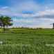 Stevington Windmill