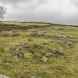 High Borrans Romano-British Settlement