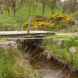 Stones Bank Brook