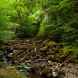 Hiking Areas in Ingleton Waterfalls Trail