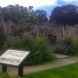 Gardens in Astley Hall