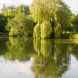Country Parks in Buckinghamshire