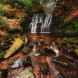 Waterfalls in Tigers Clough