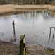 Nature Reserves in Chorley