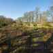 The Walled Garden at Moss Bank