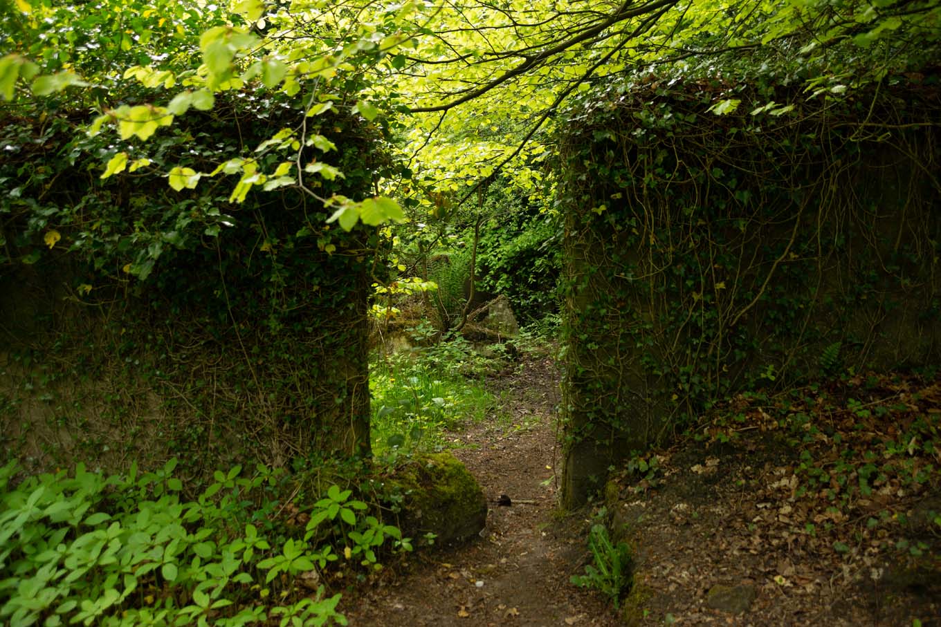 Ruins in Smithills Country Park