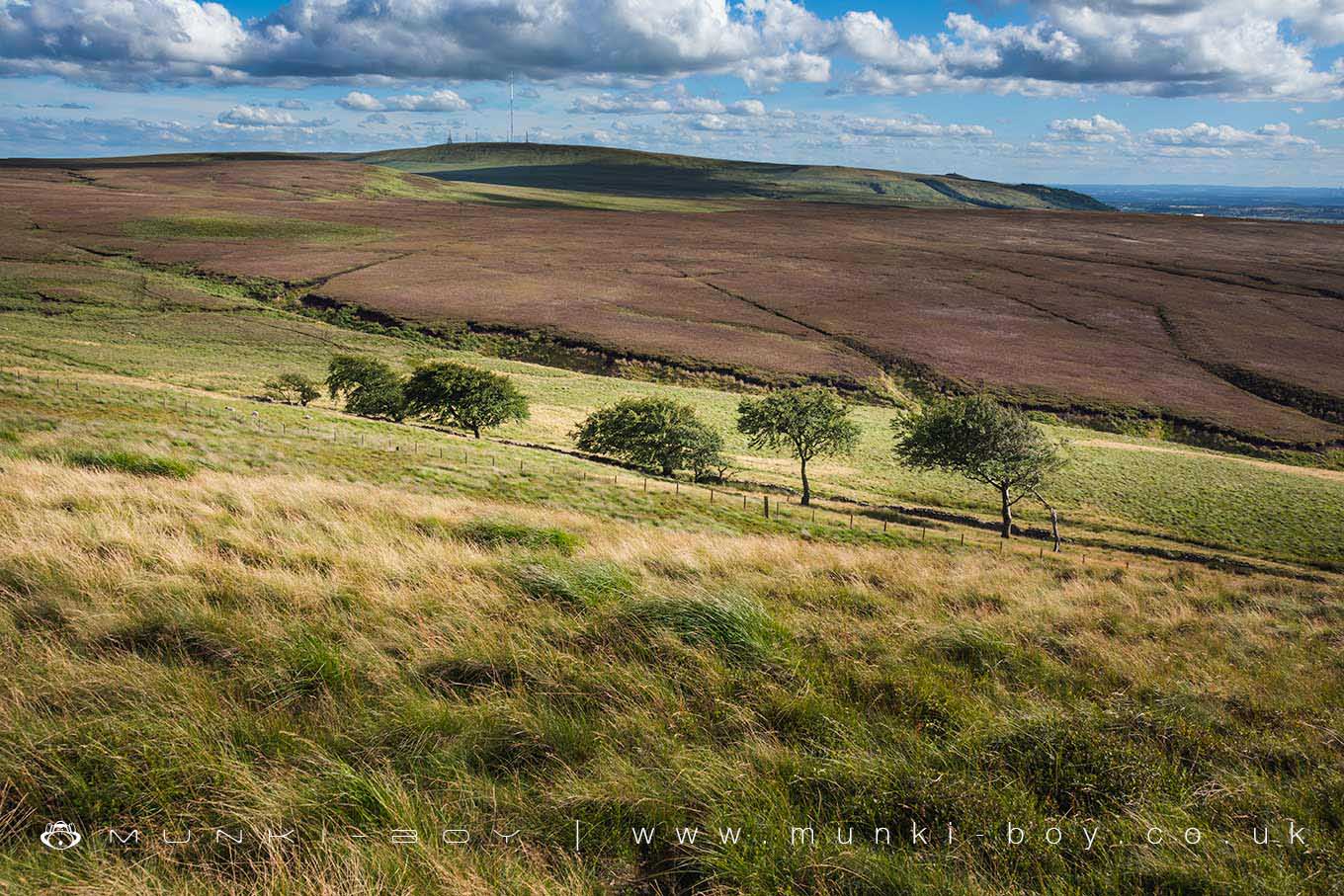 Hiking Areas in Chorley