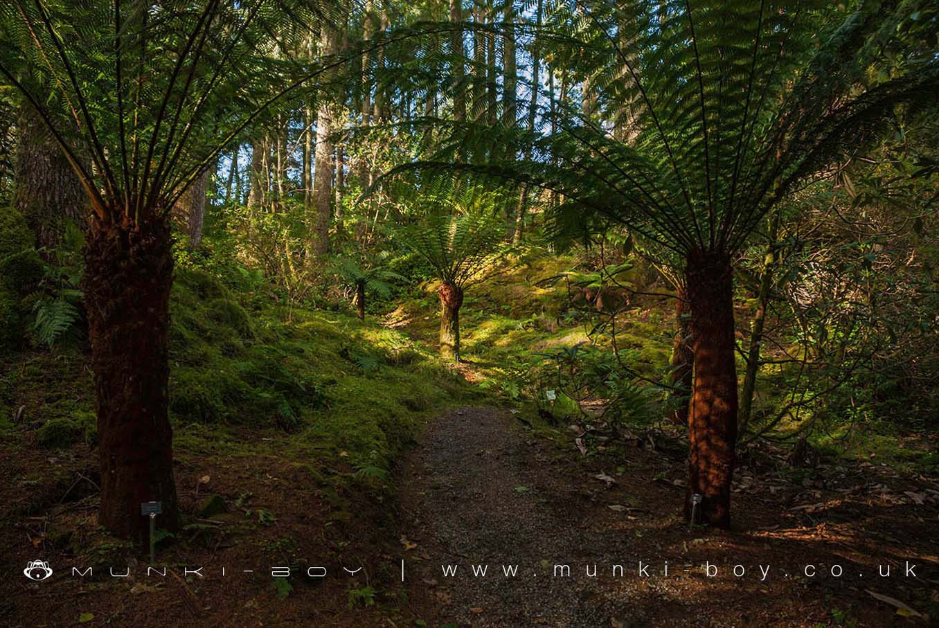 Gardens in Argyll