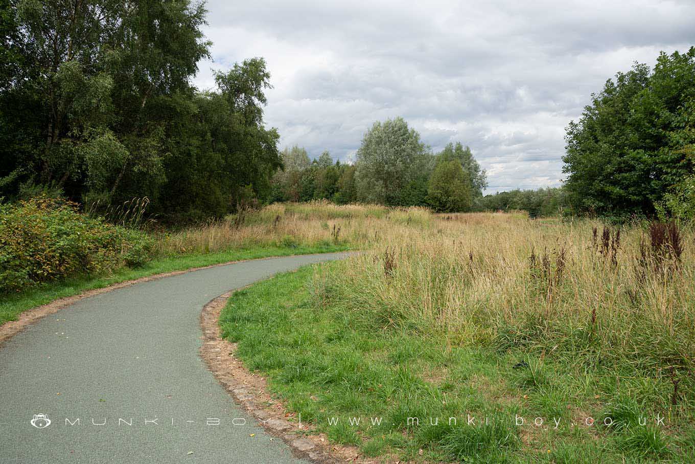 Woodlands in Walkden
