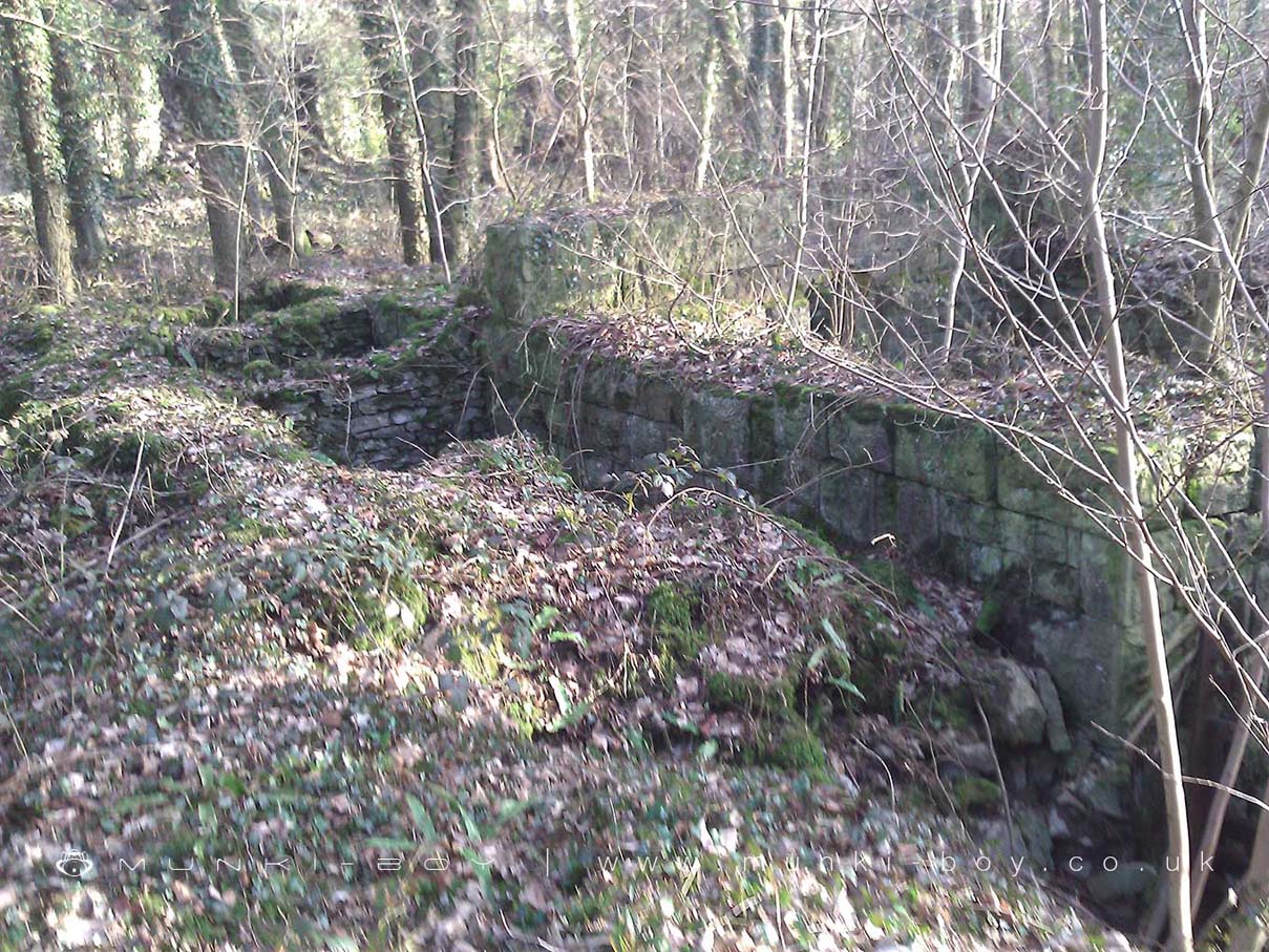 Ruins in River Kent at Basingill