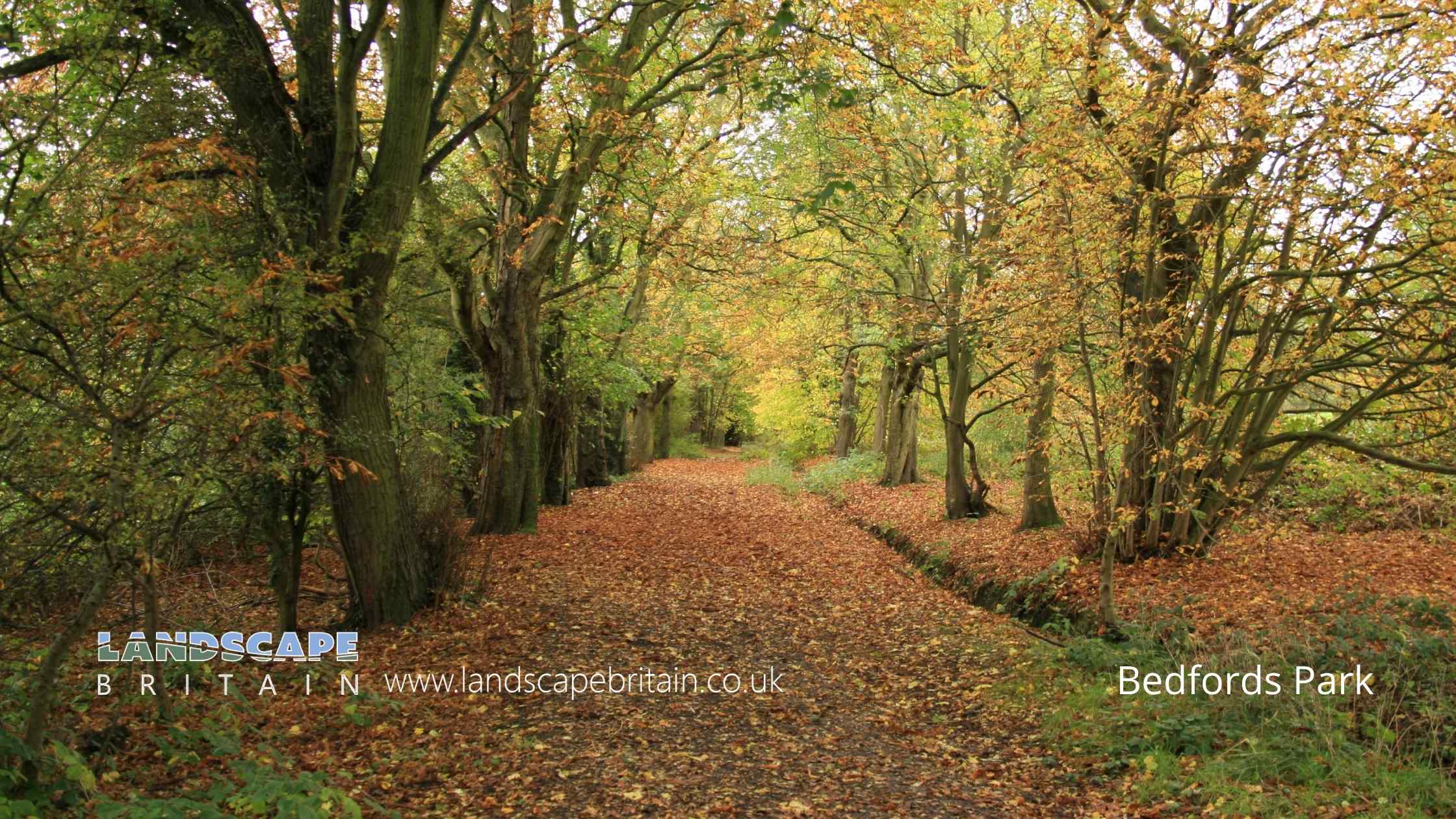 Nature Reserves in Romford