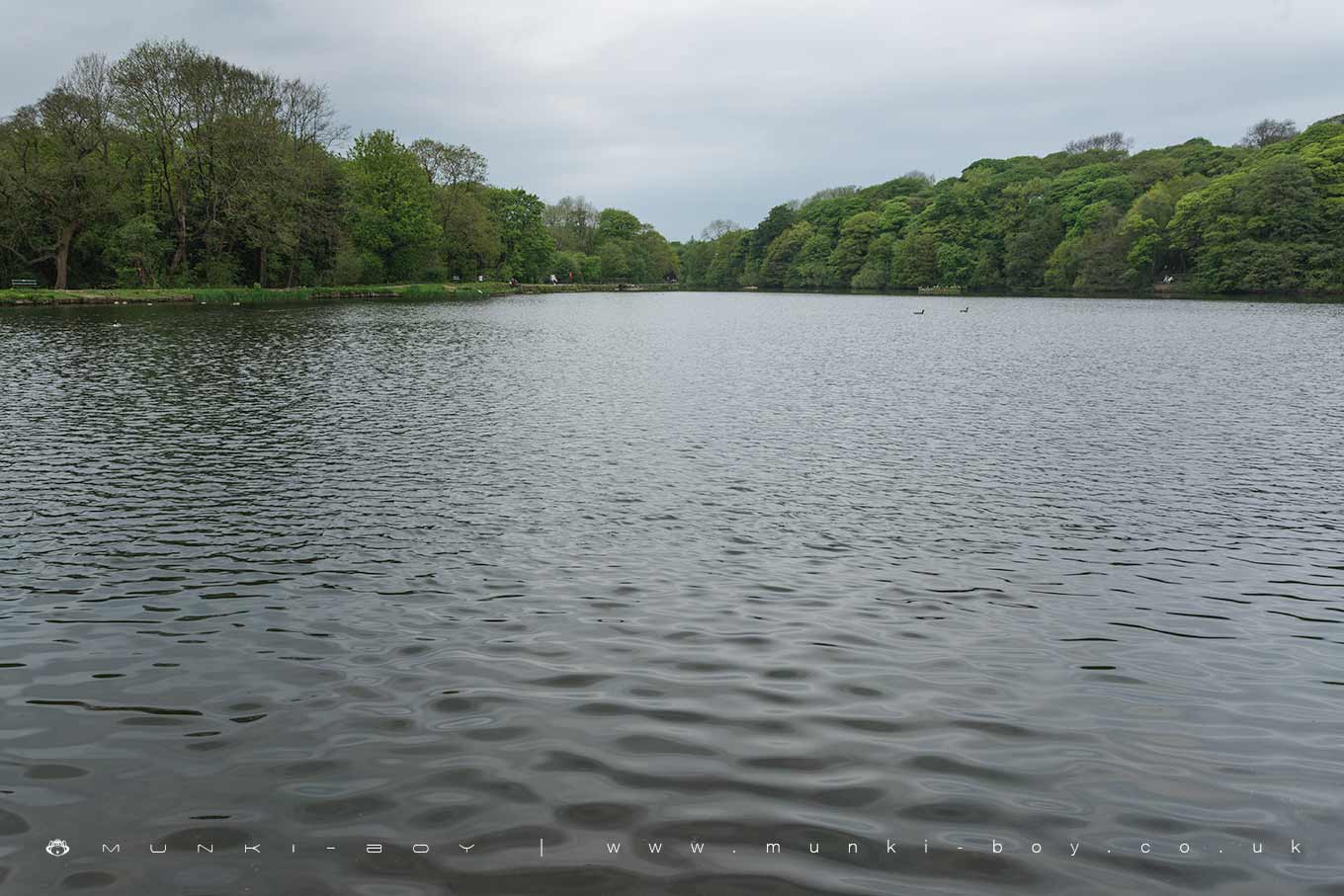 Lakes in Yarrow Valley Country Park