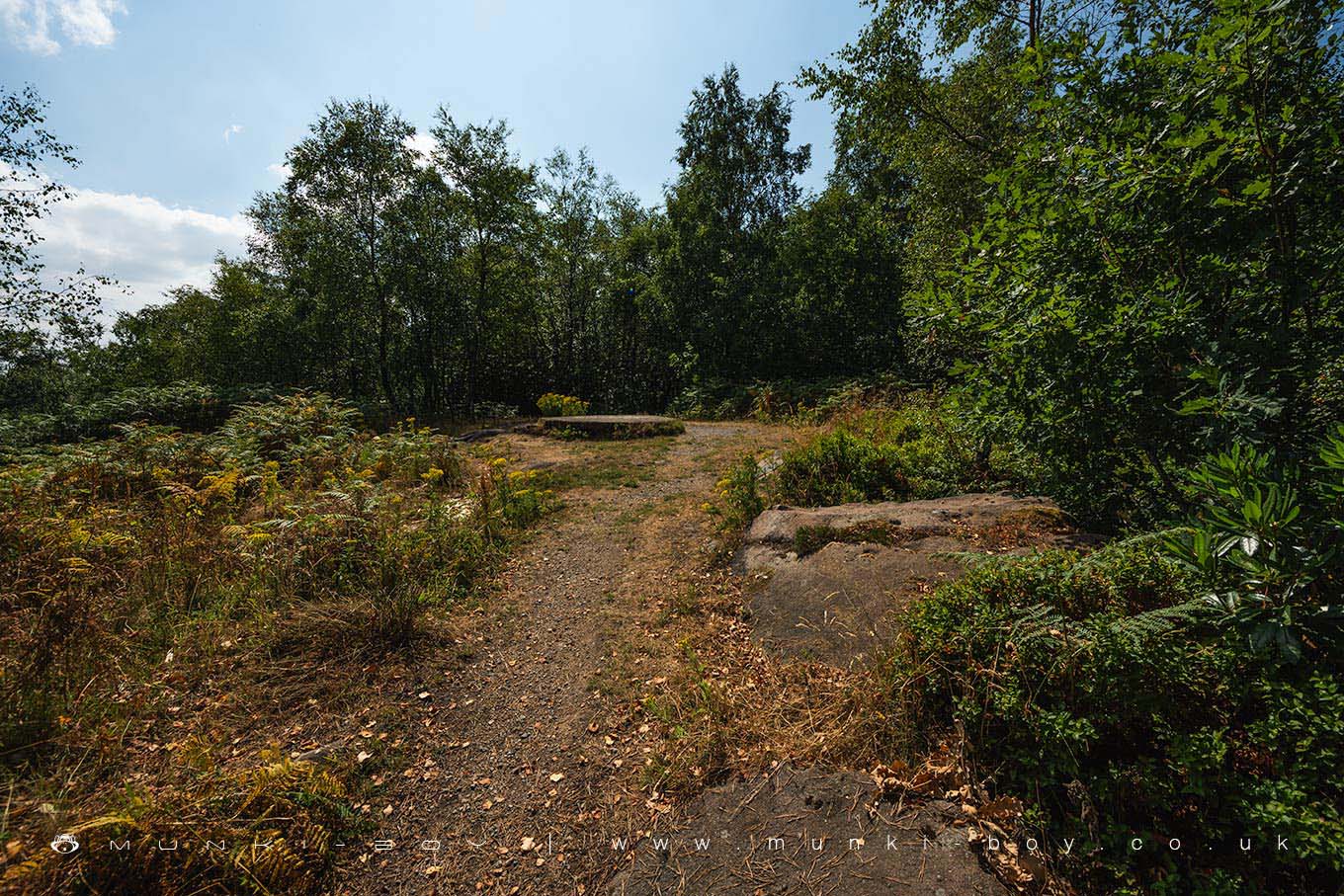 Hills in Witton Country Park