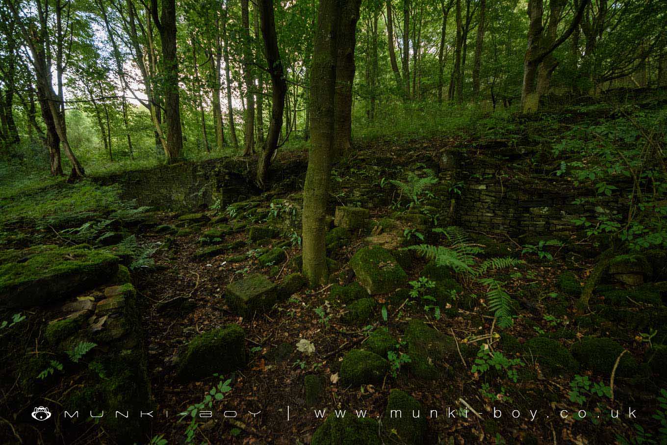 Ruins in Wheelton Plantation