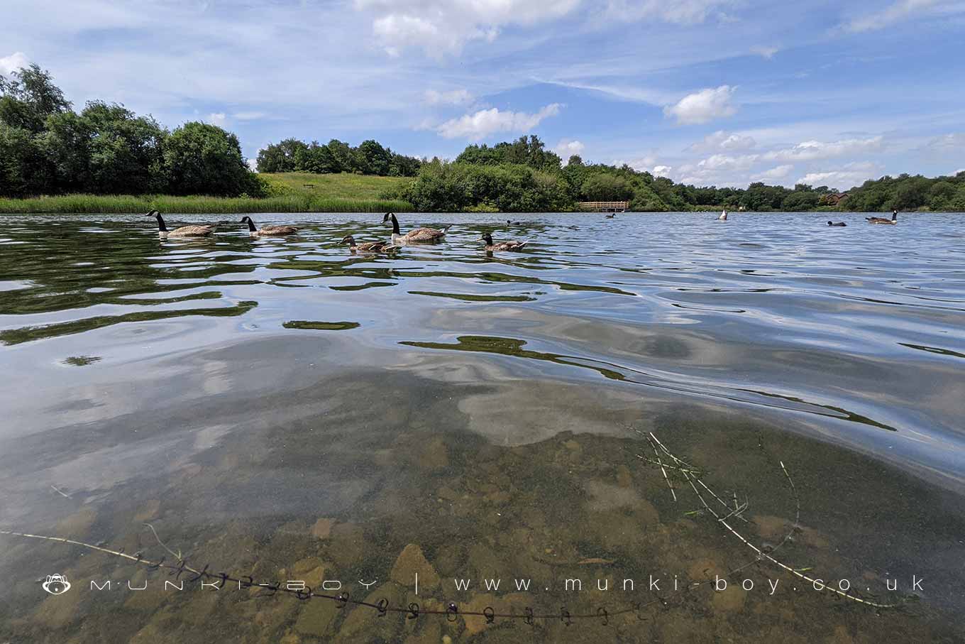 Lakes in Blackleach Country Park