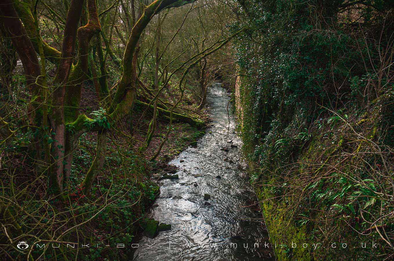 Rivers and Streams in Borsdane Wood