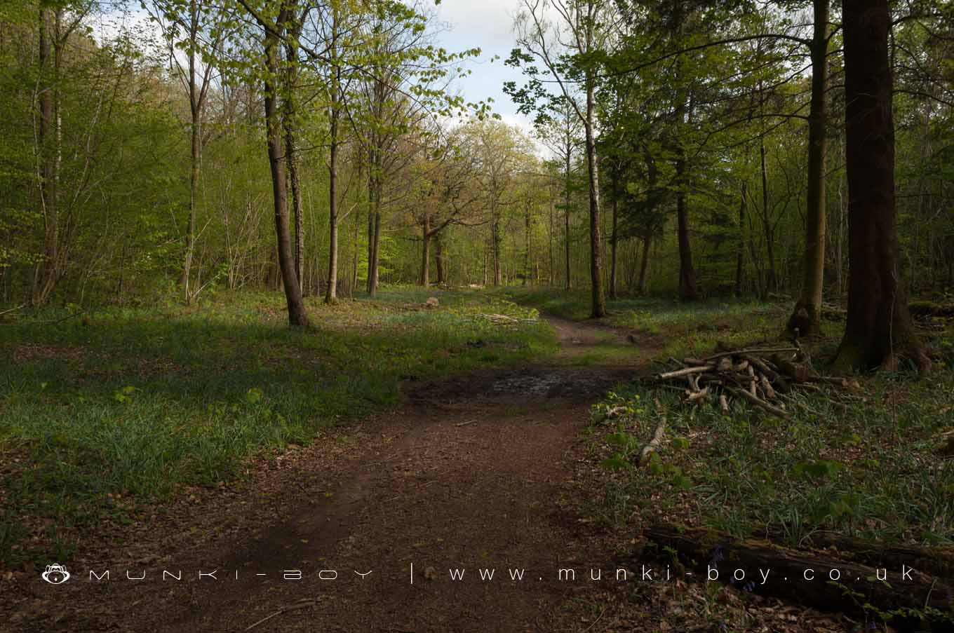 Hiking Areas in Brigsteer