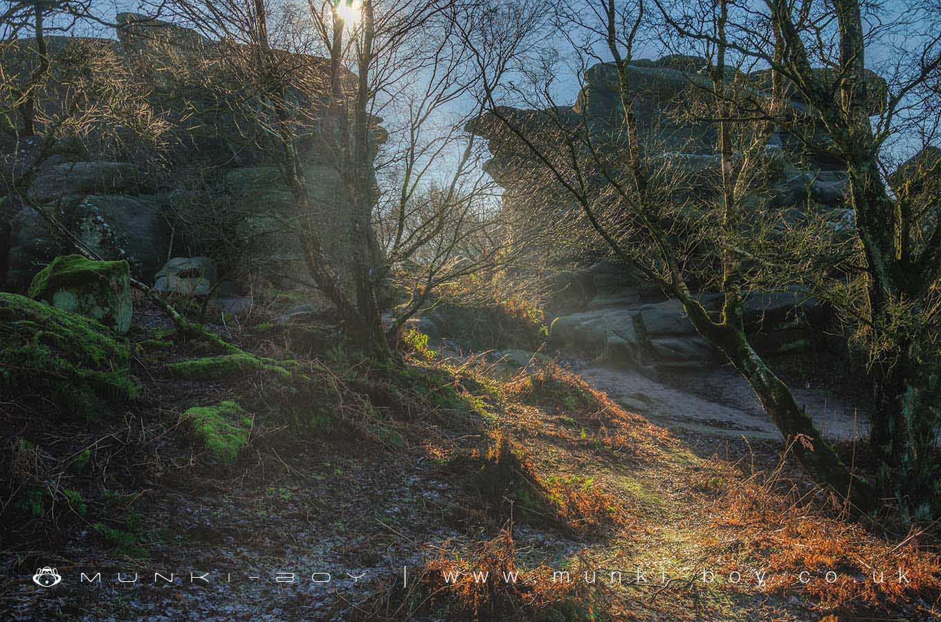 Geological Features in Nidderdale