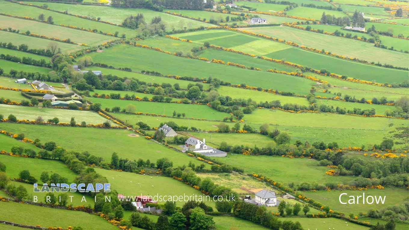 Towns in County Carlow