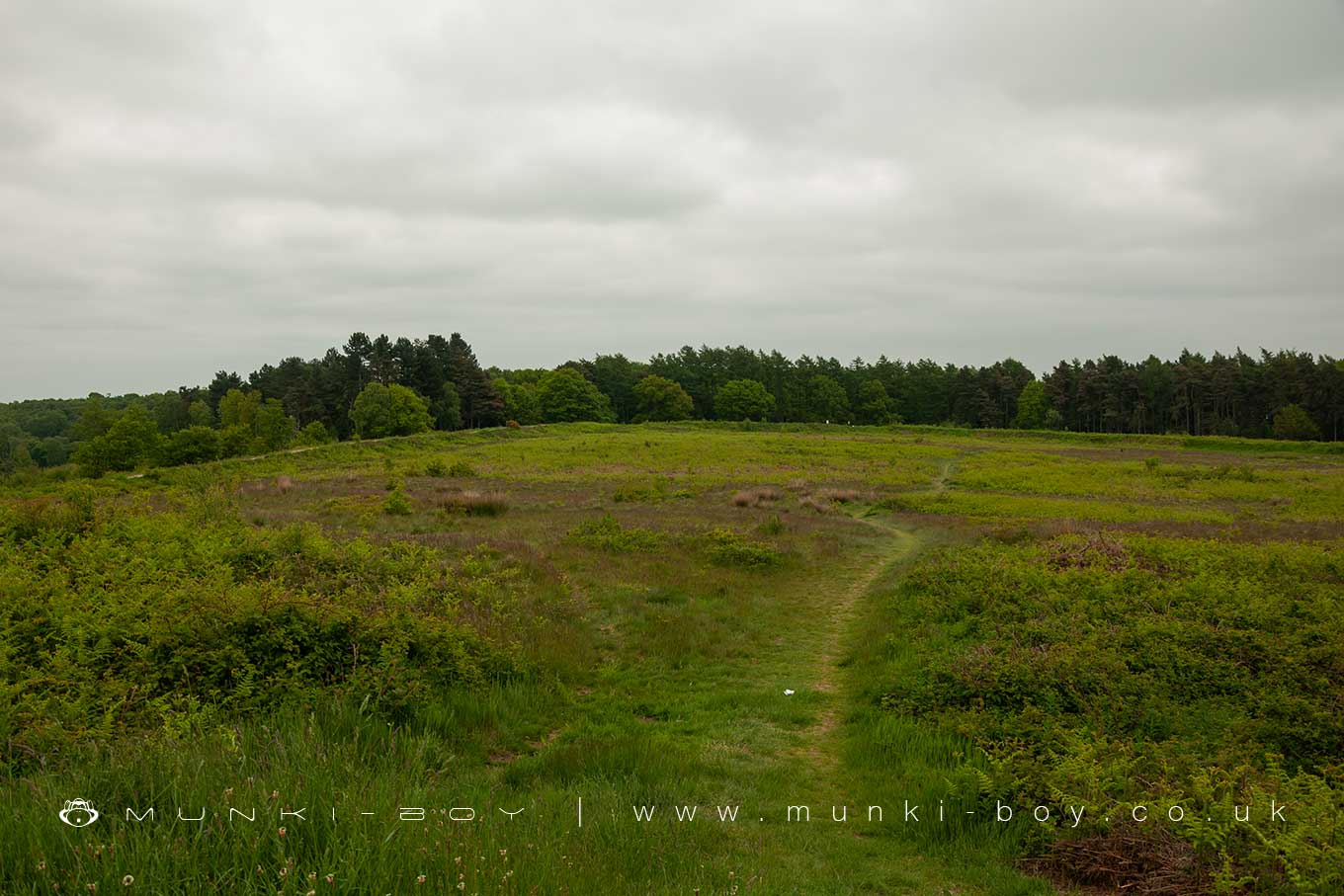 Ancient Sites in Rugeley