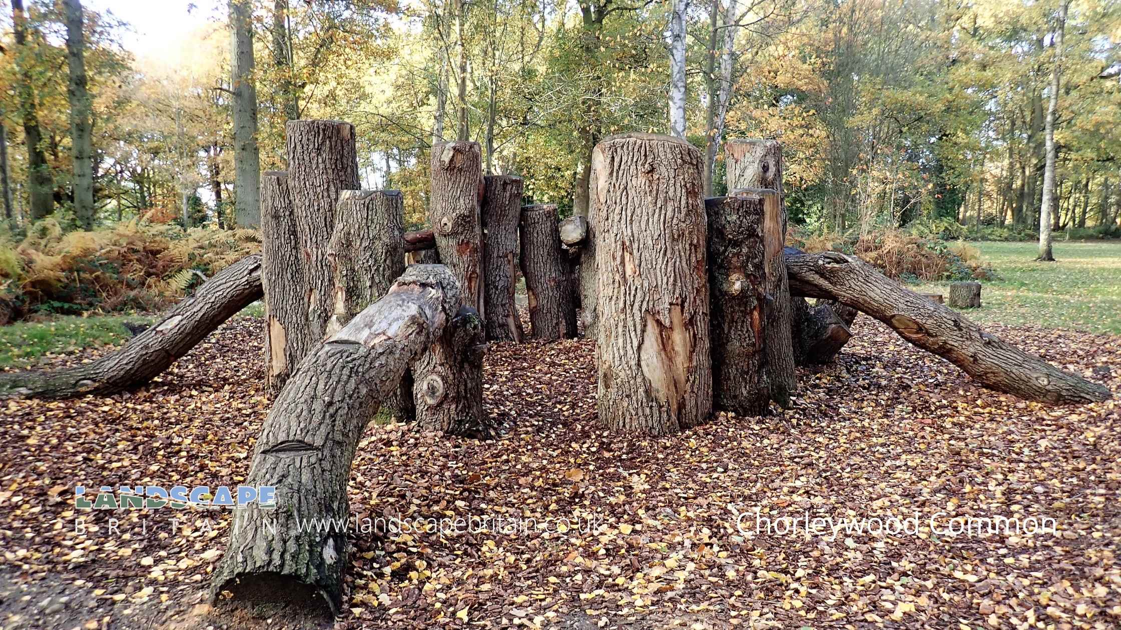 Nature Reserves in Chorleywood