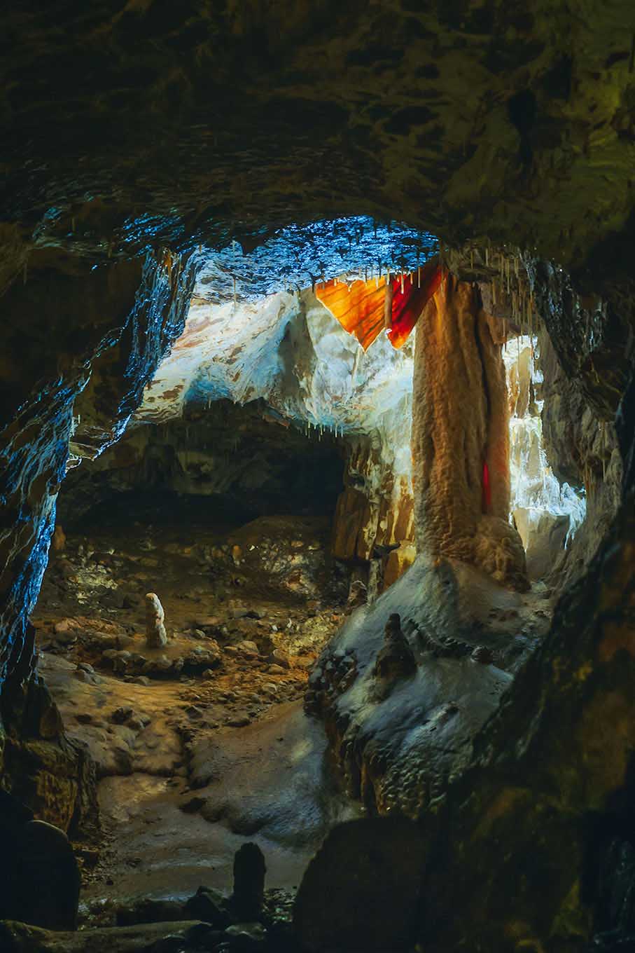 are dogs allowed in dan yr ogof caves