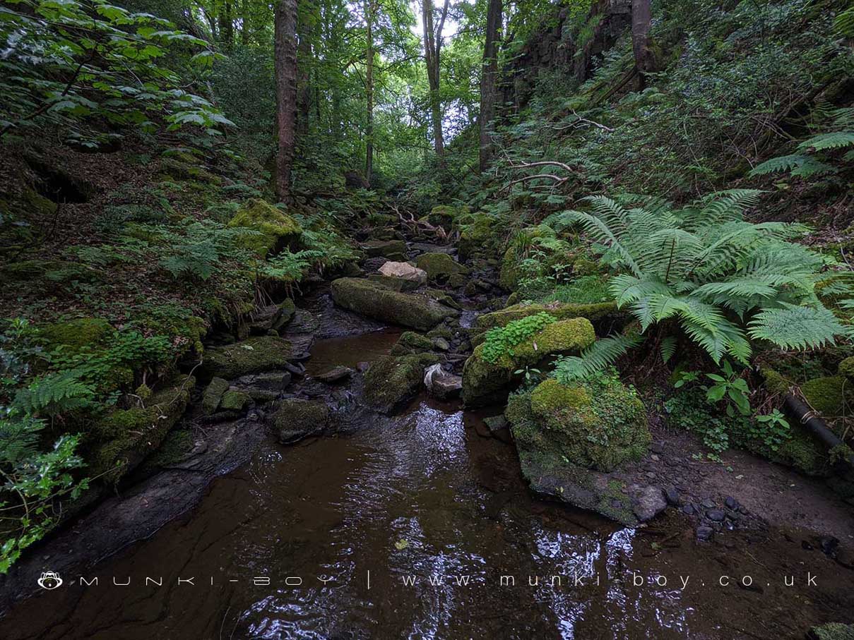Rivers and Streams in Dean Wood - Rivington