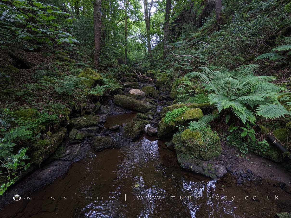 Rivers and Streams in Rivington