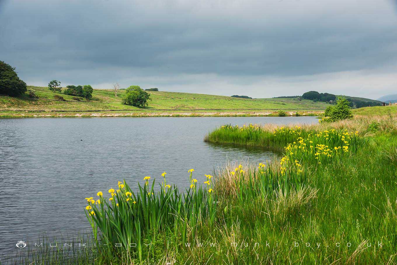 Lakes in Blackburn