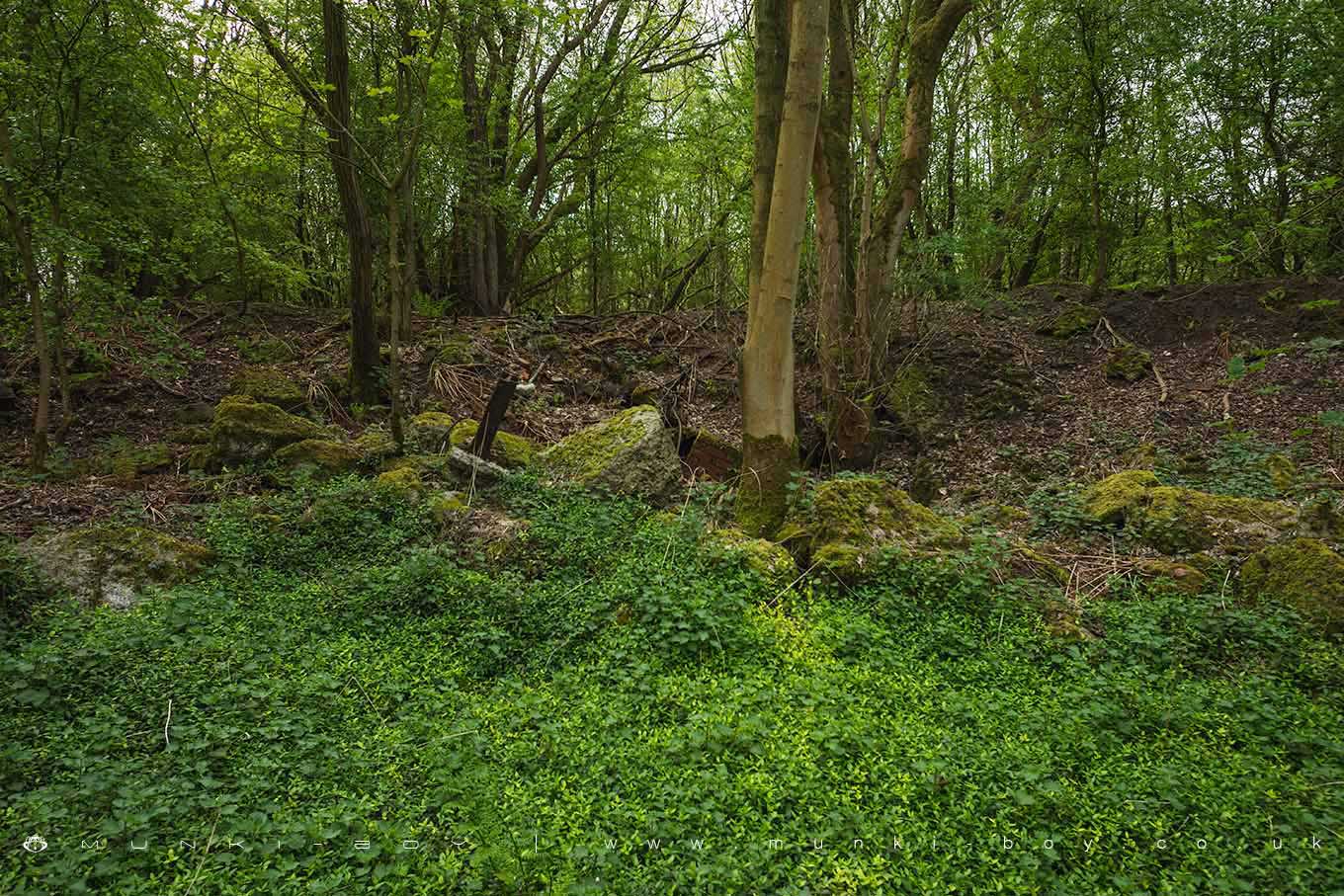 Old Mines in Duxbury Woods