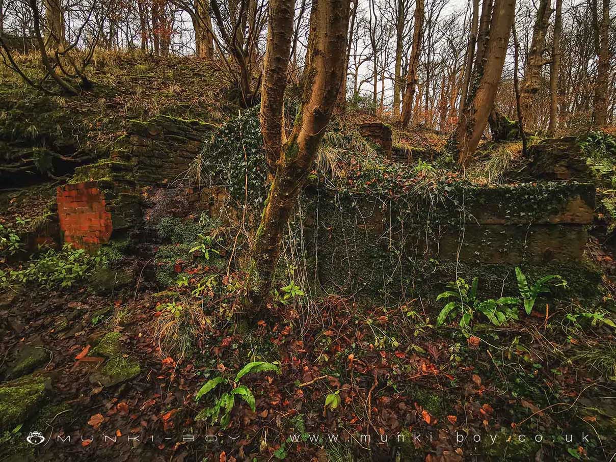 Ruins in Duxbury Woods