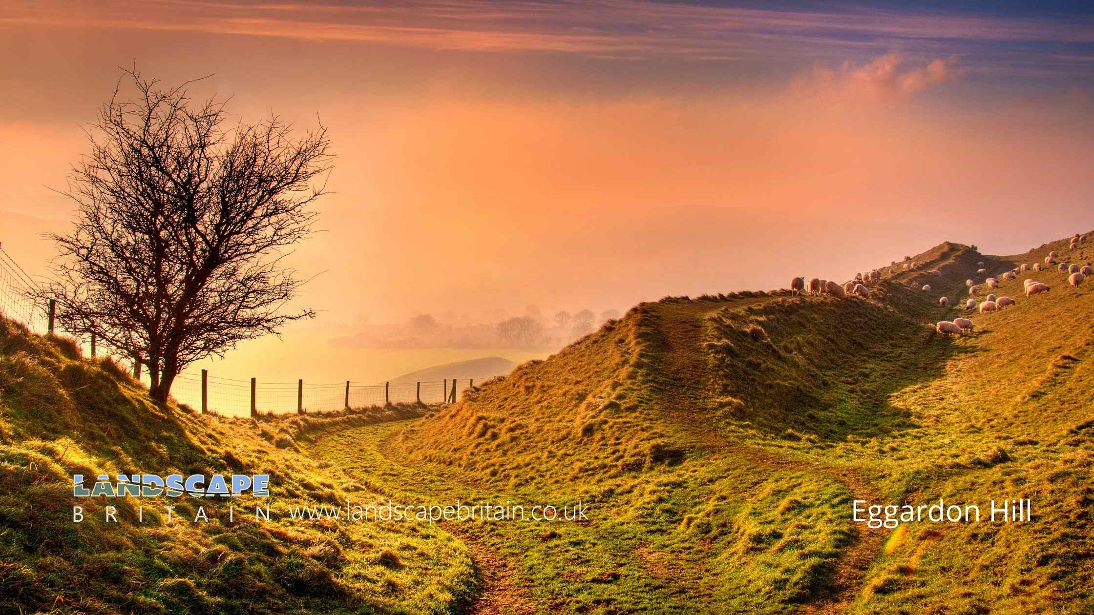 Ancient Sites in Dorset