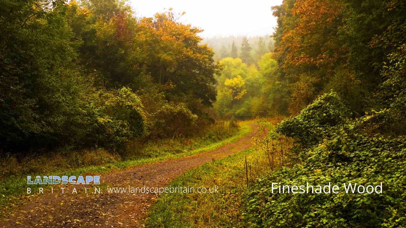 Woodlands in Northamptonshire