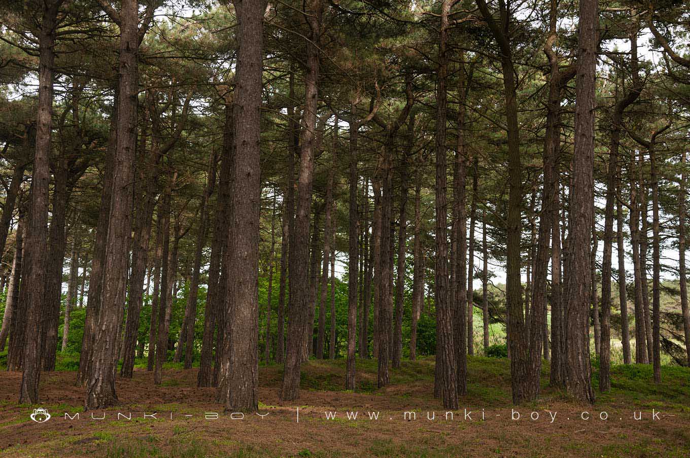 Nature Reserves in Merseyside