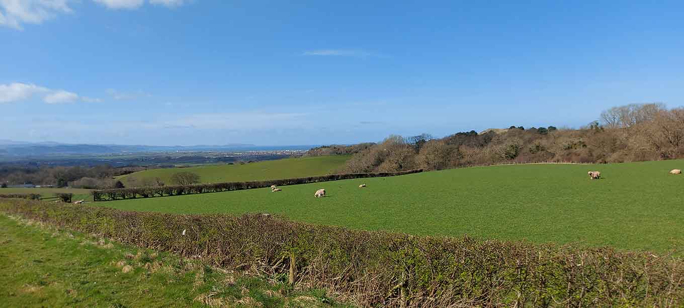 Nature Reserves in Denbighshire (Sir Ddinbych)