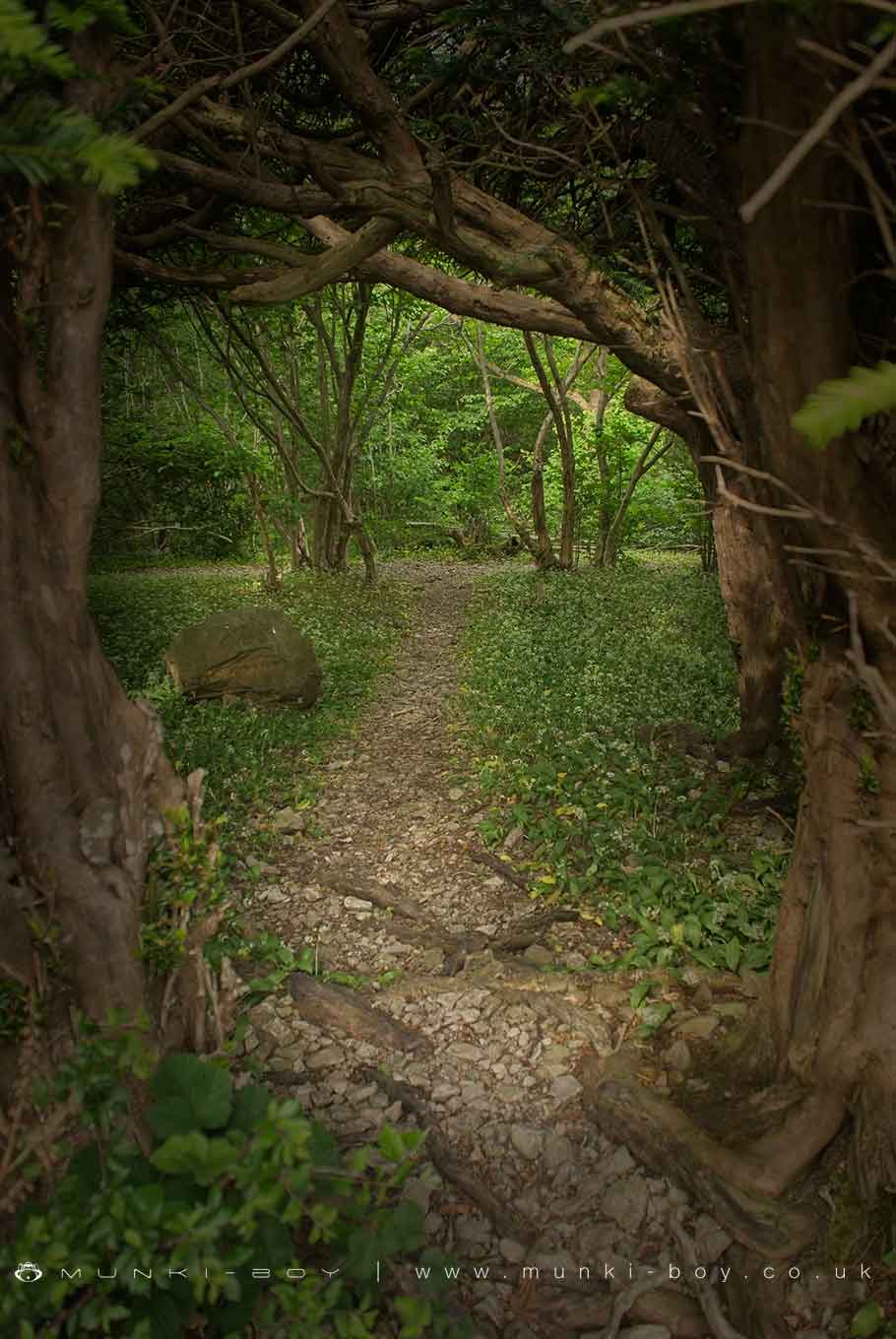 Woodlands in Arnside