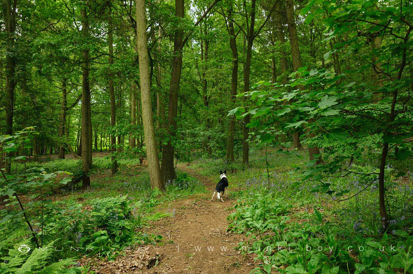 Country Parks in Nuneaton