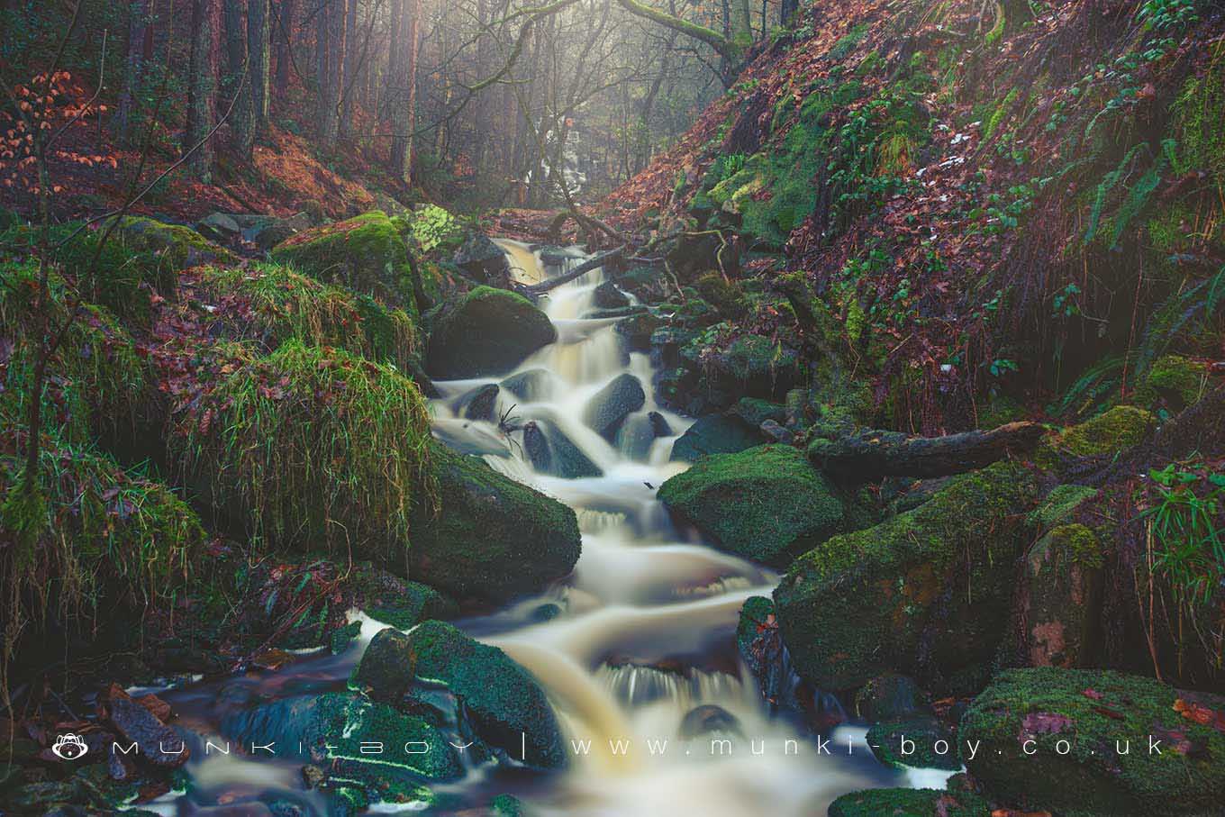 Rivers and Streams in Brinscall