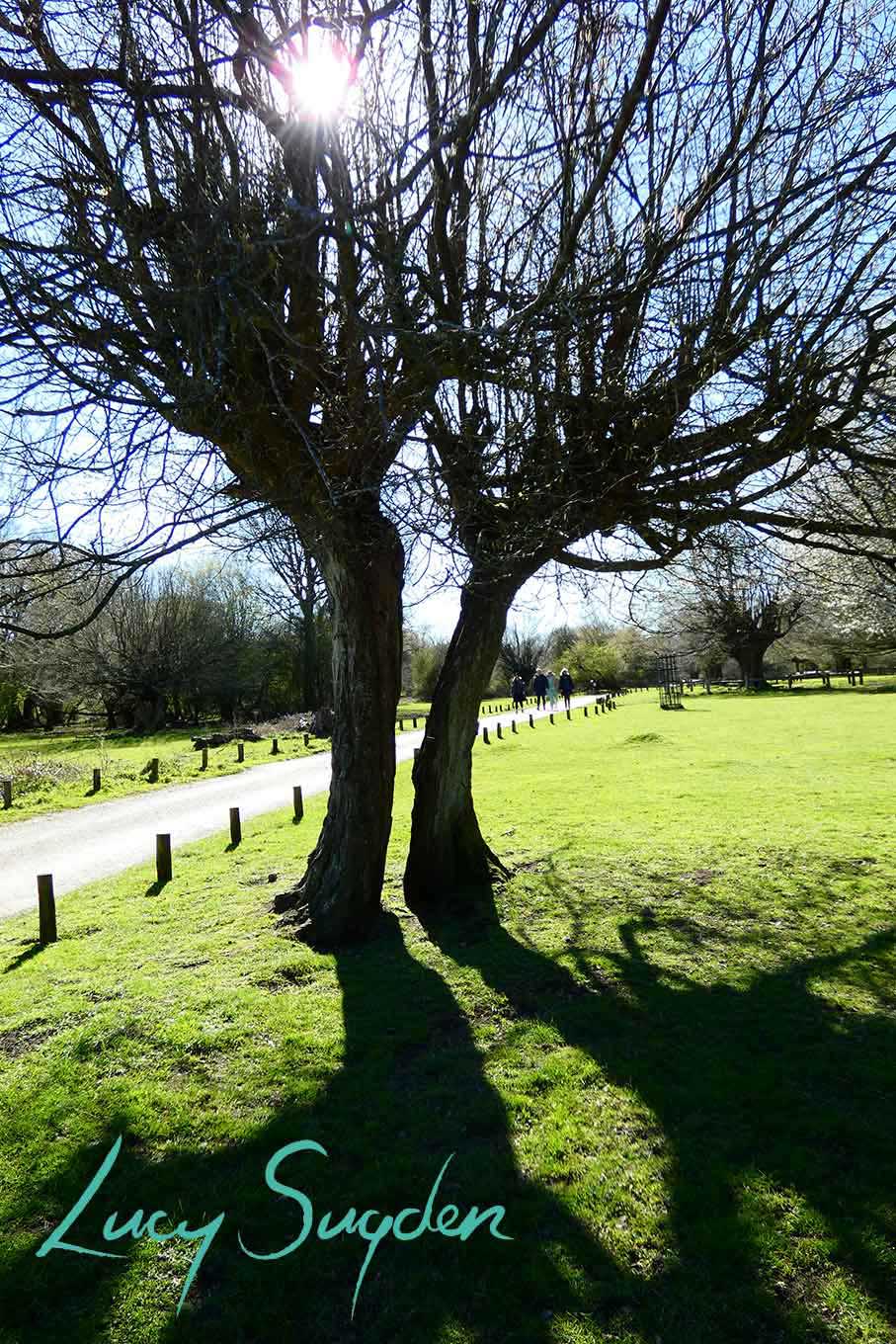 Country Parks in Hertfordshire