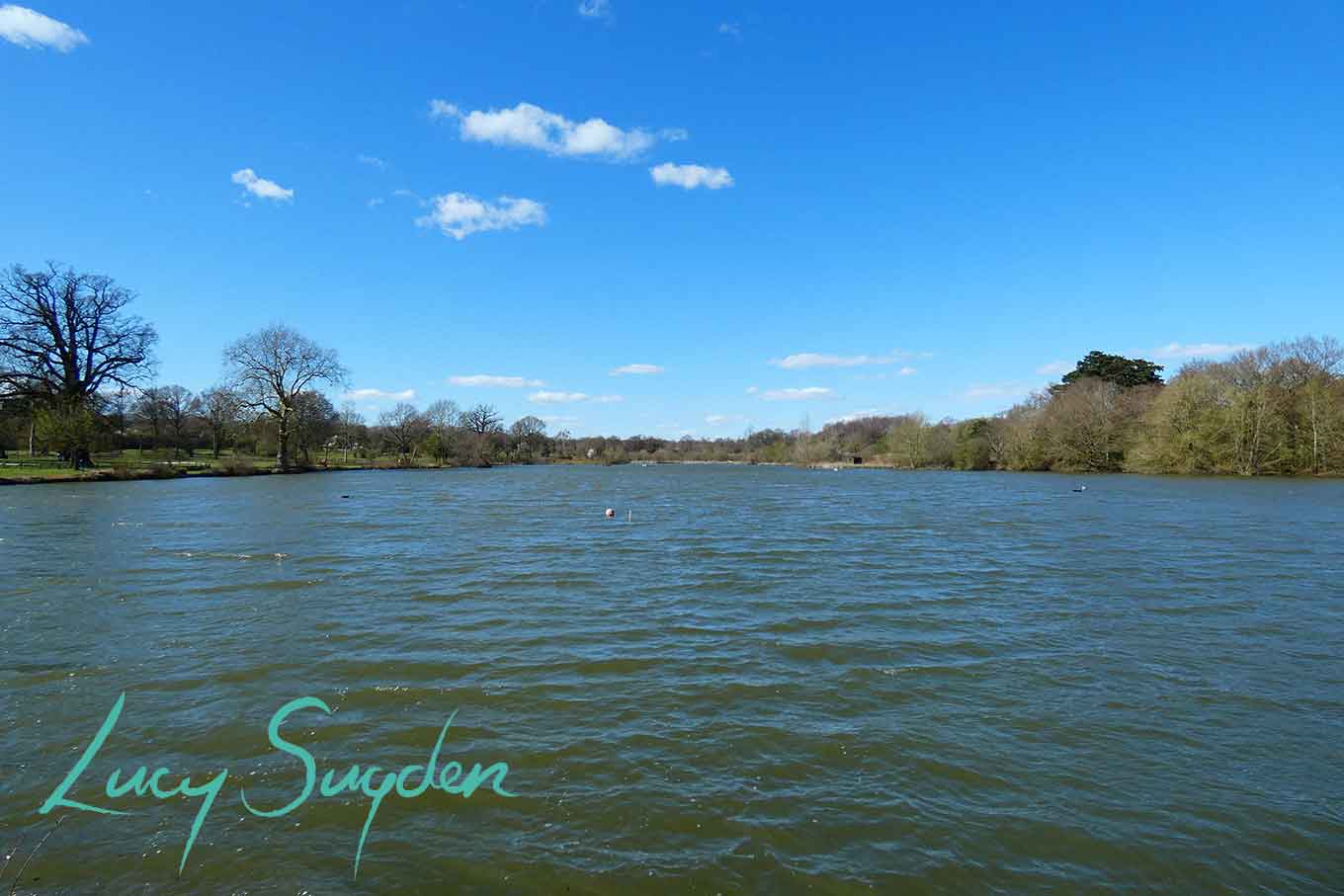 Lakes in Hatfield Forest