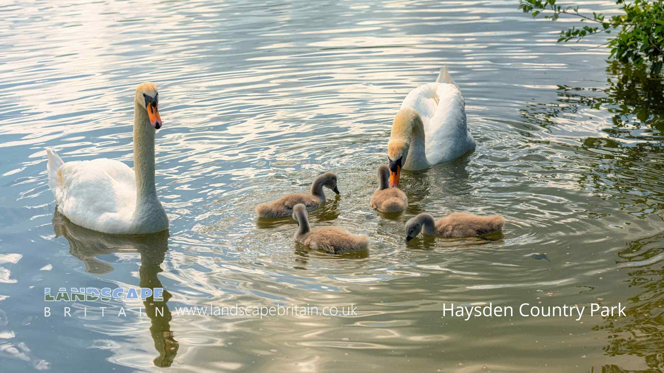 Country Parks in Tonbridge