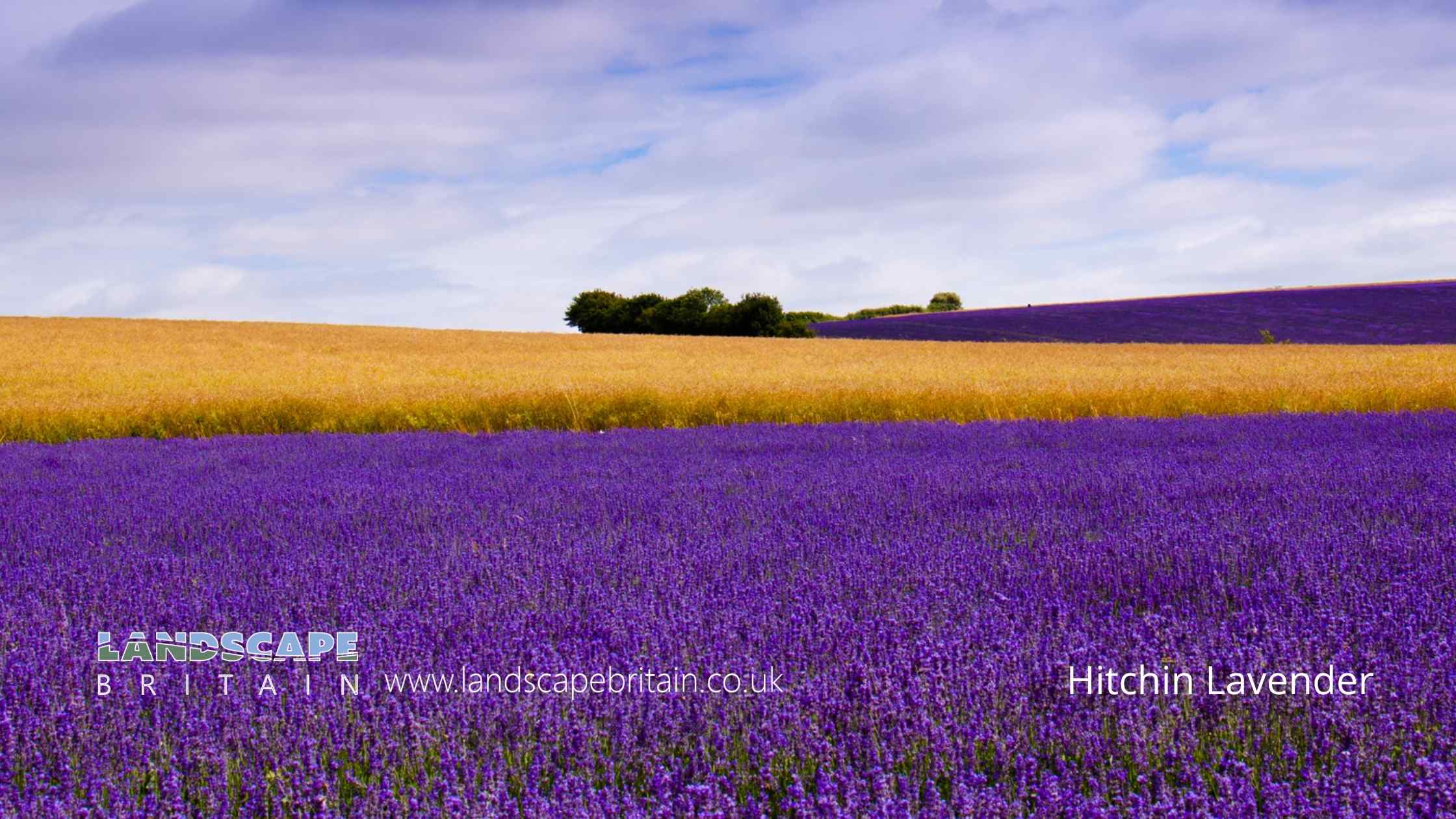 Gardens in Hertfordshire