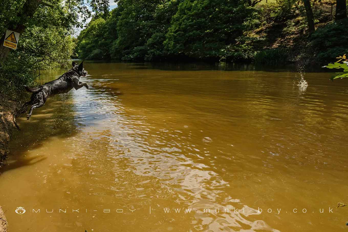 Rivers and Streams in Redisher Wood