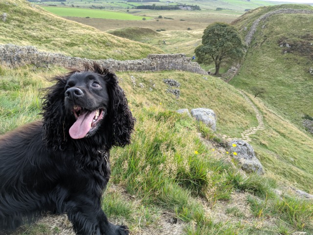 Roman Sites in Northumberland