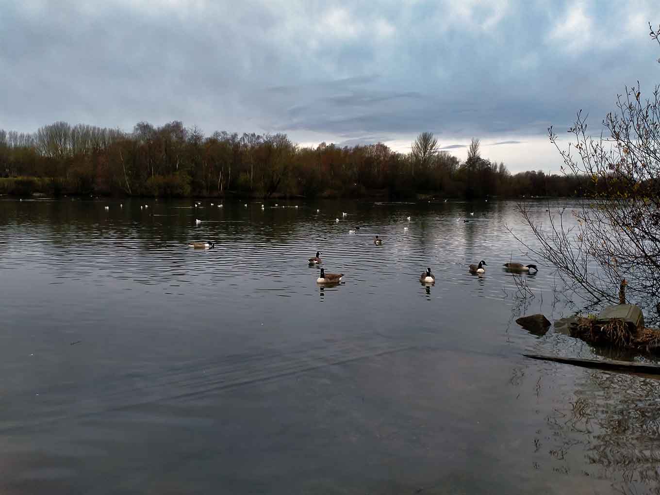 Lakes in Chorlton Water Park