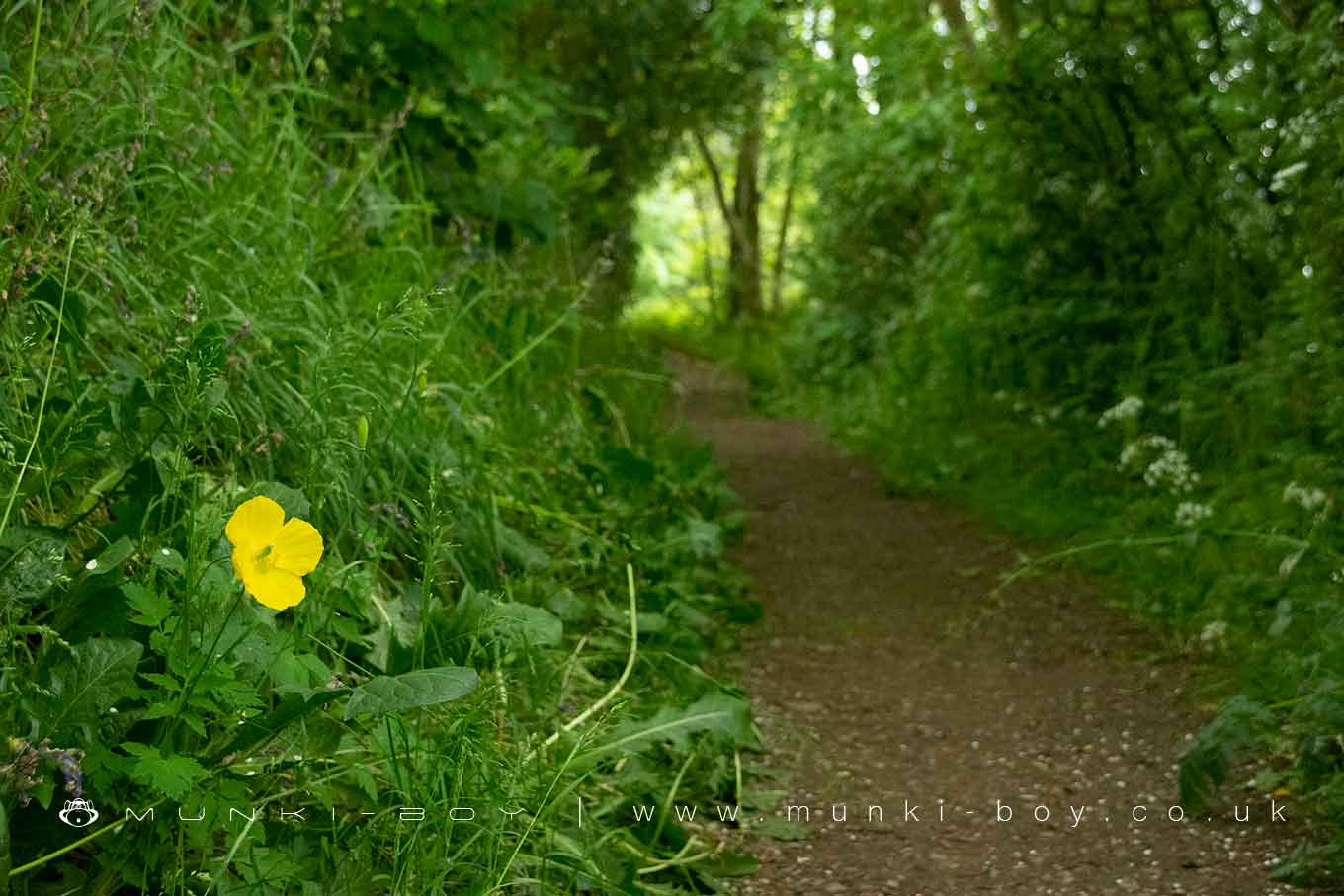 Country Parks in Foulridge