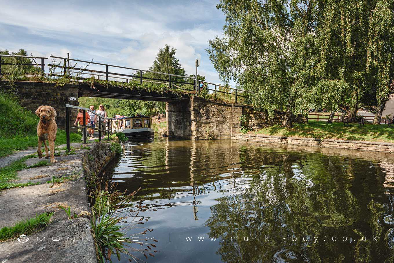 Canals in Shevington