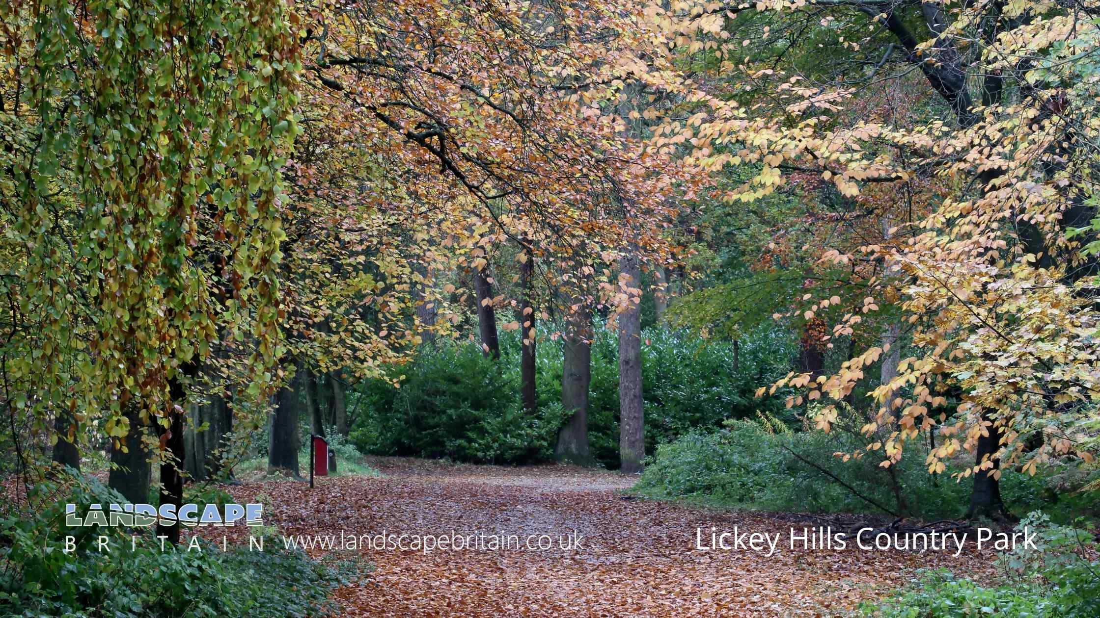 Woodlands in West Midlands