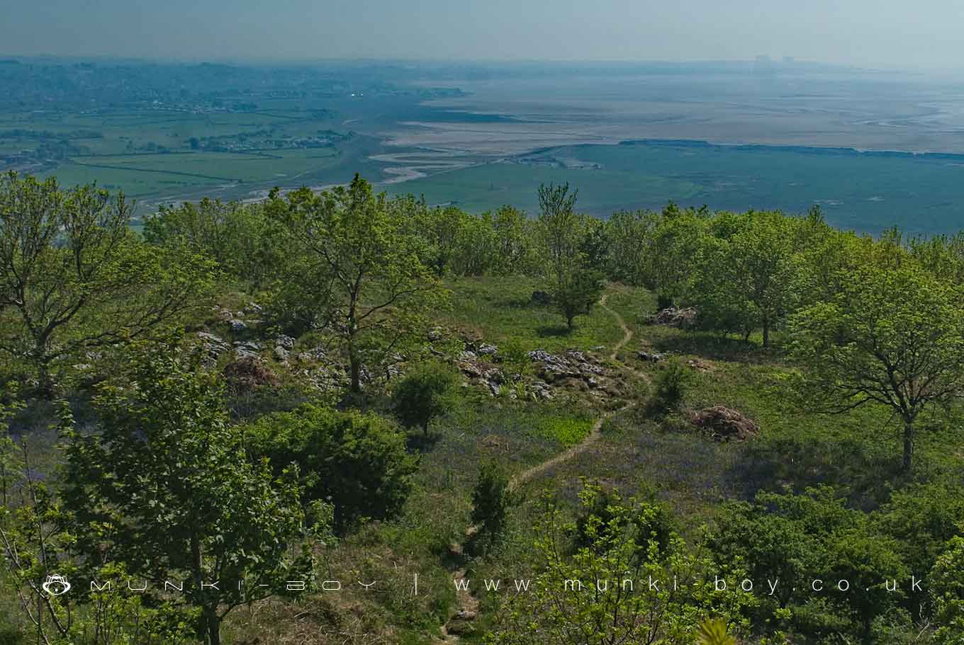 Geological Features in Warton Crag