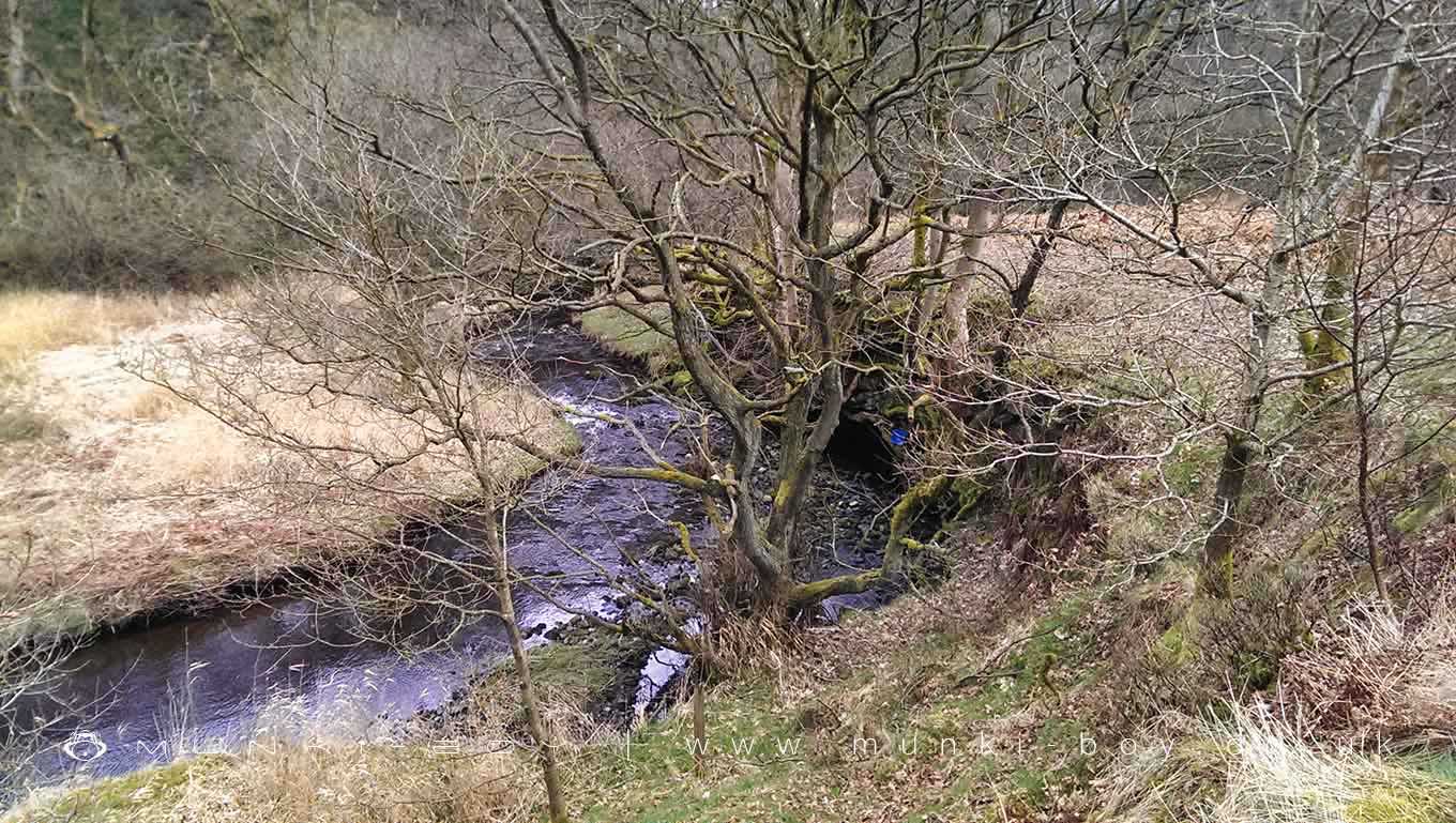 Hiking Areas in Belmont